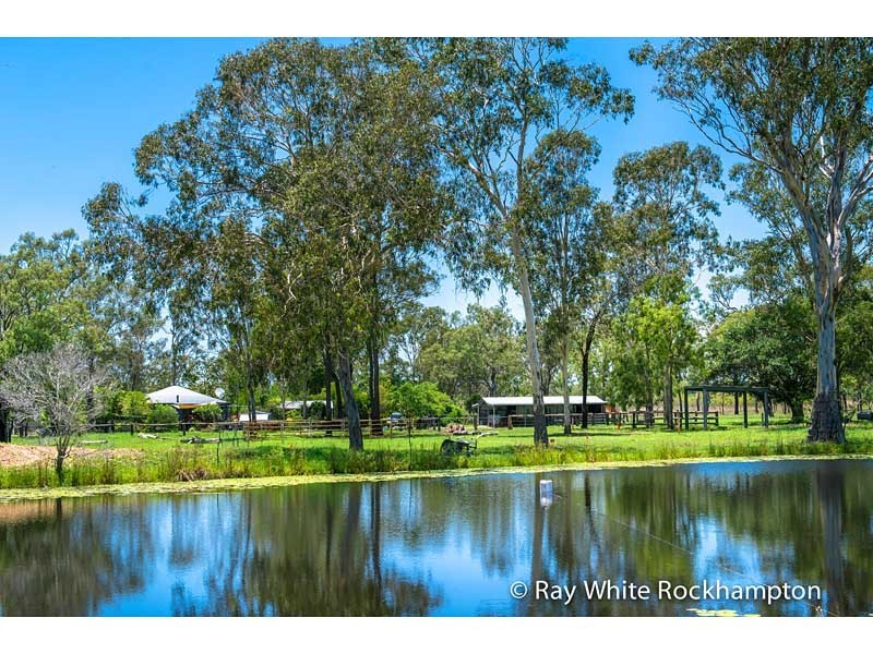 71 Hedlow Road, Cawarral QLD 4702