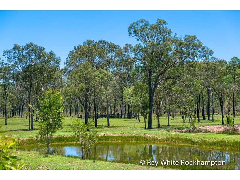 71 Hedlow Road, Cawarral QLD 4702