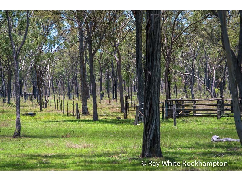 71 Hedlow Road, Cawarral QLD 4702