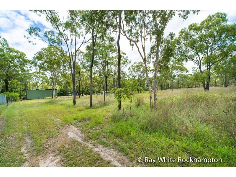 31 Rhys Avenue, The Caves QLD 4702