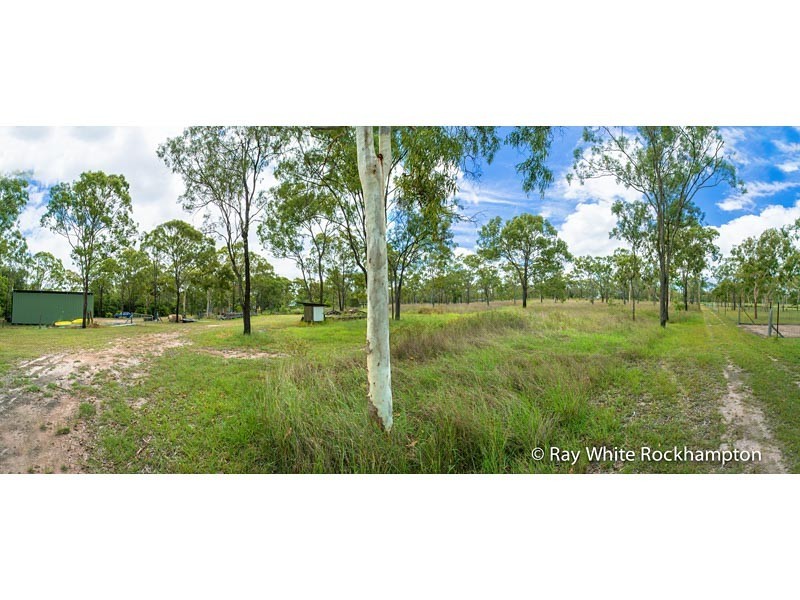 31 Rhys Avenue, The Caves QLD 4702