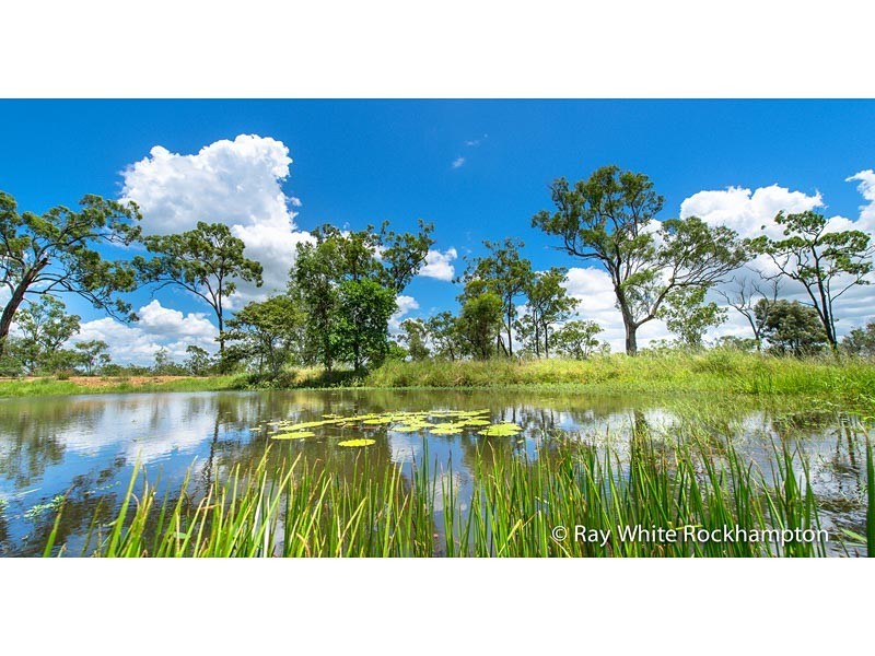 32 Colliver Road, Alton Downs QLD 4702