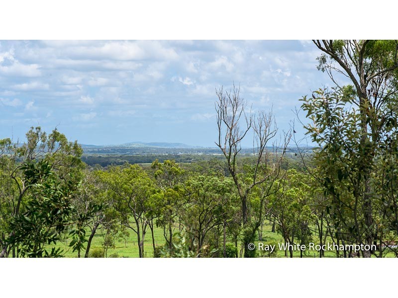 32 Colliver Road, Alton Downs QLD 4702