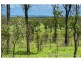 32 Colliver Road, Alton Downs QLD 4702