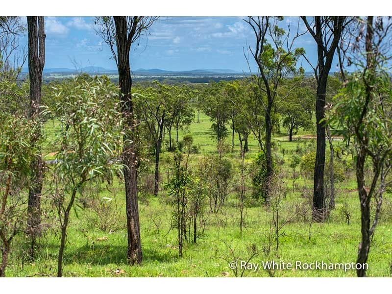 32 Colliver Road, Alton Downs QLD 4702