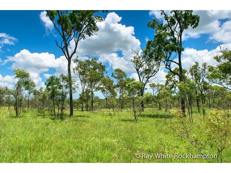 32 Colliver Road, Alton Downs QLD 4702