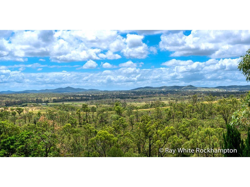 41 Samuel Crescent, Parkhurst QLD 4702