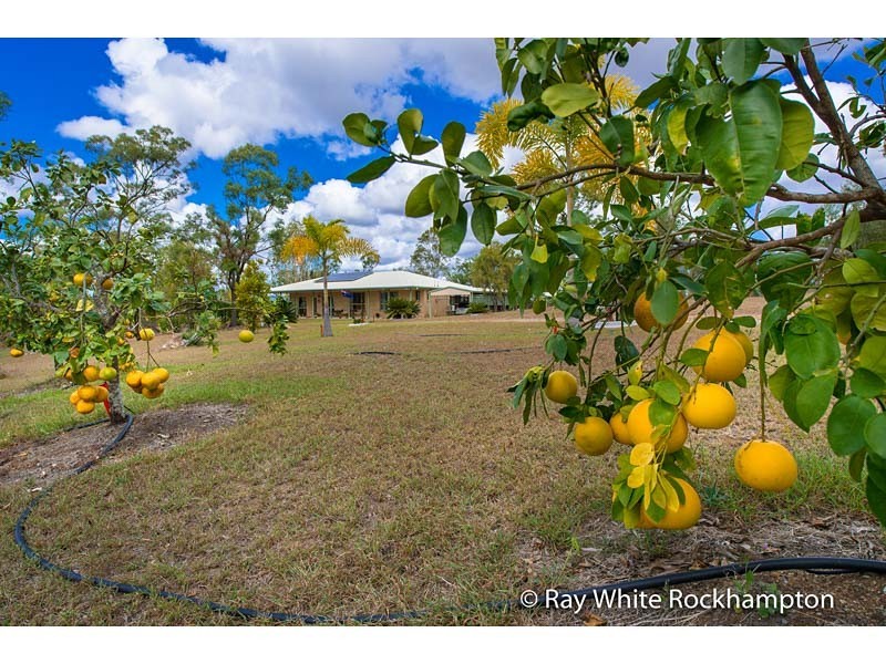 49 Keryn Drive, The Caves QLD 4702