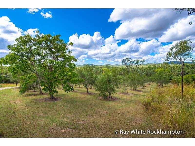 49 Keryn Drive, The Caves QLD 4702