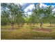 49 Keryn Drive, The Caves QLD 4702