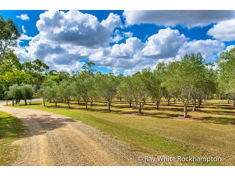 49 Keryn Drive, The Caves QLD 4702