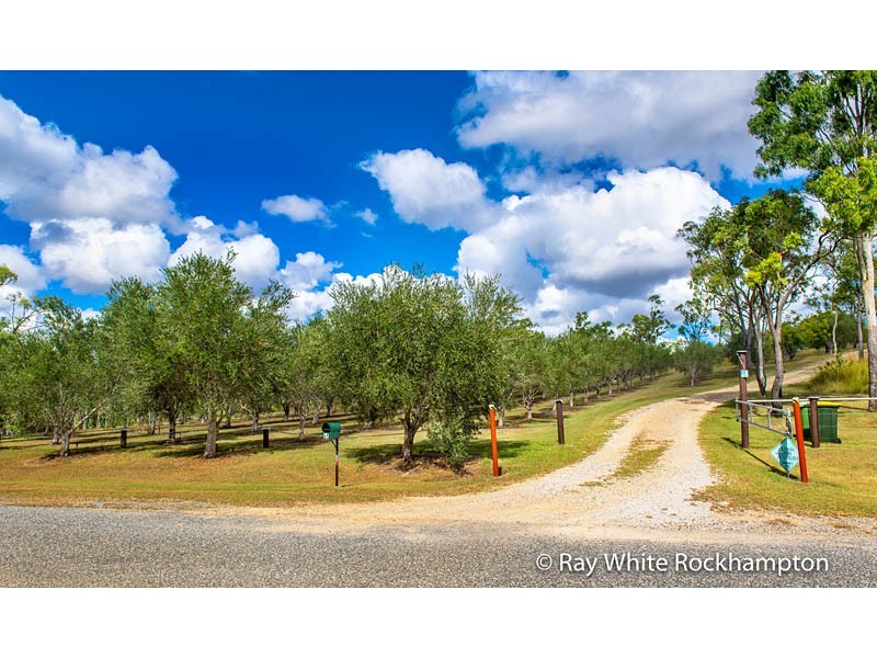 49 Keryn Drive, The Caves QLD 4702