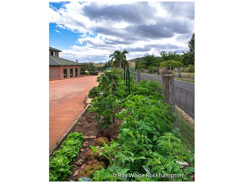 8 Laura Close, Rockyview QLD 4701