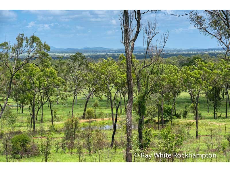 32 Colliver Road, Alton Downs QLD 4702