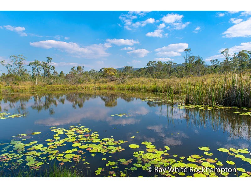 390 Dairy Inn Road, Cawarral QLD 4702