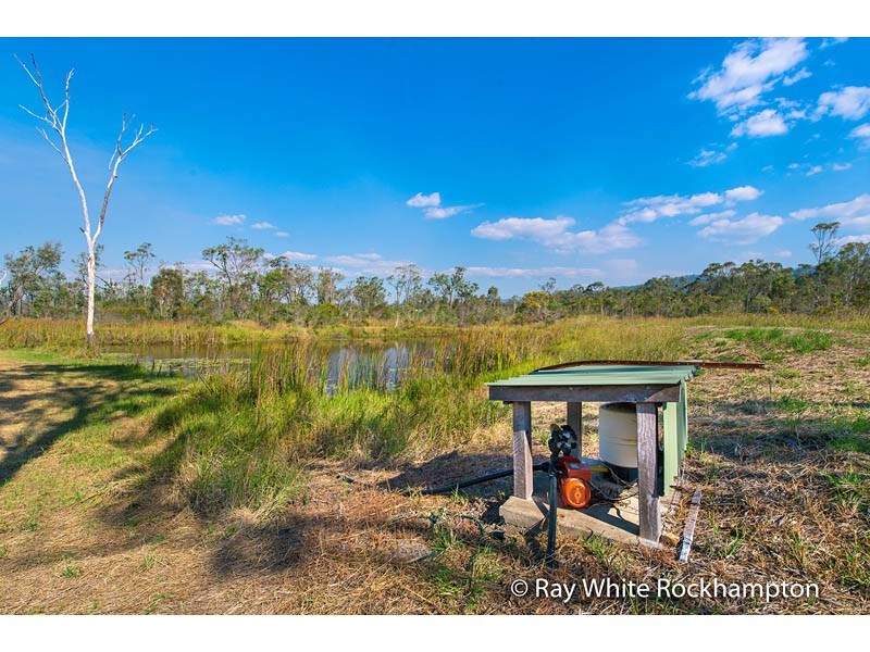 390 Dairy Inn Road, Cawarral QLD 4702