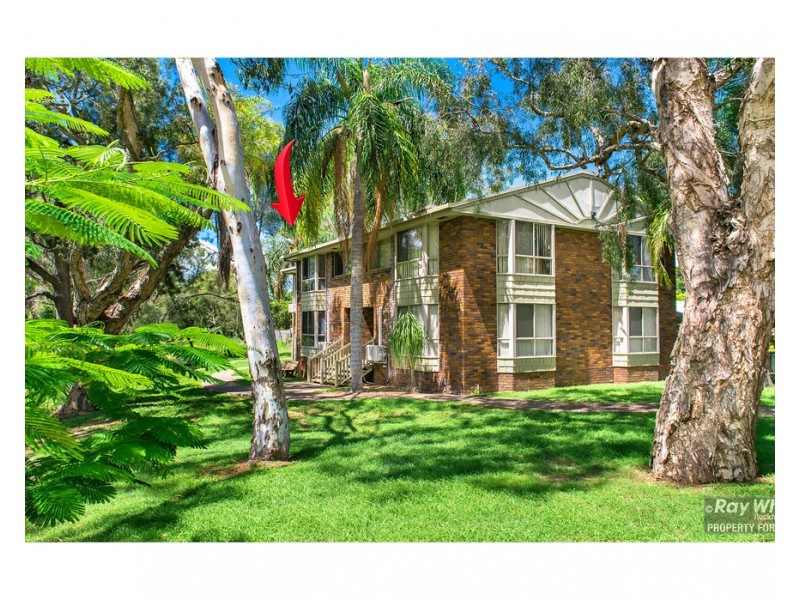 4/204 Kerrigan Street, Frenchville QLD 4701