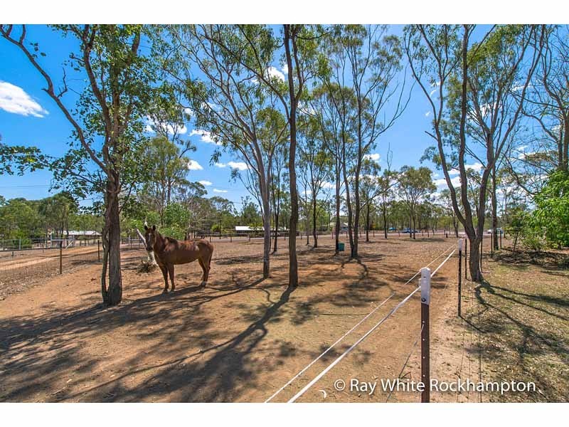 269 Glendale Road, Glendale QLD 4711