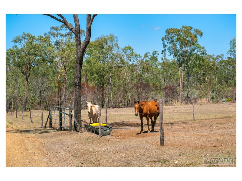 29 Fourteen Mile Road, The Caves QLD 4702
