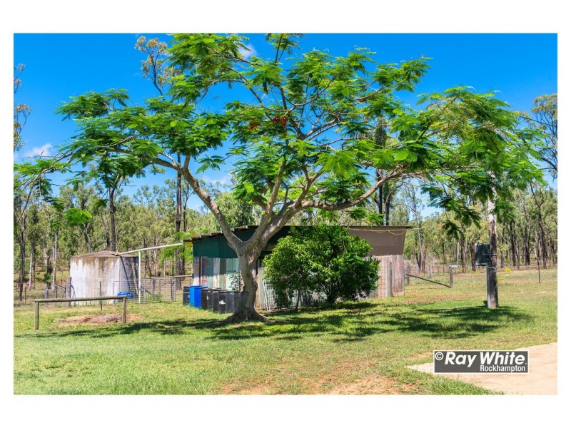 66 Dodson Lane, Cawarral QLD 4702