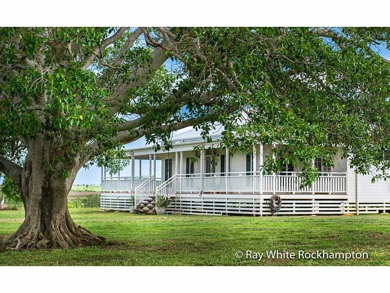 223 Shannen Road, Dalma QLD 4702