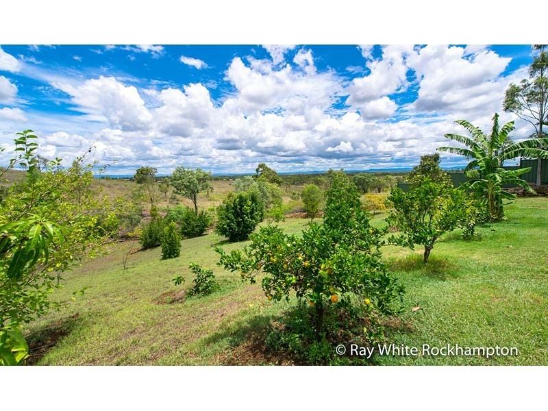 9 Trenwith Terrace, Rockyview QLD 4701