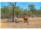 29 Fourteen Mile Road, The Caves QLD 4702