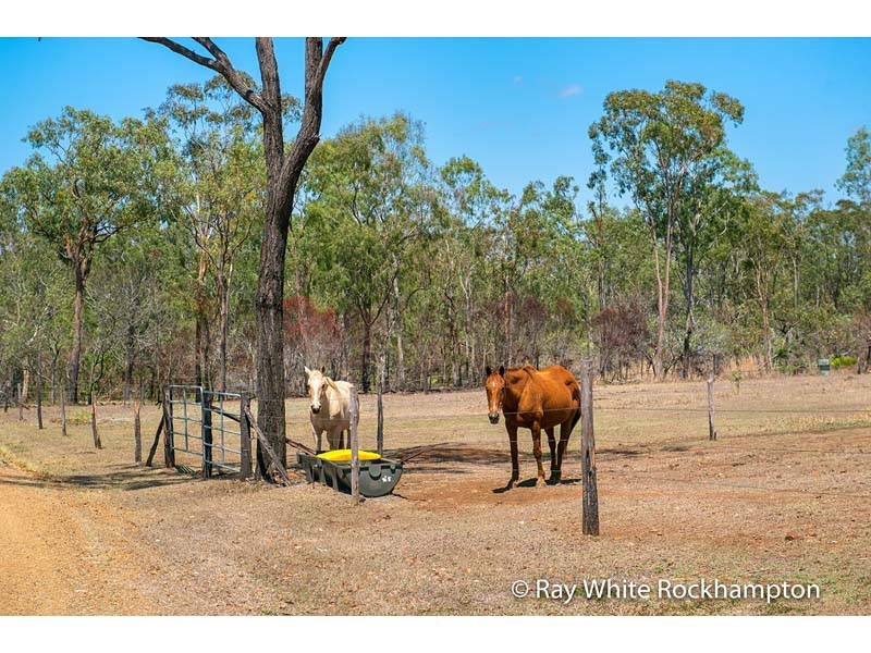 29 Fourteen Mile Road, The Caves QLD 4702