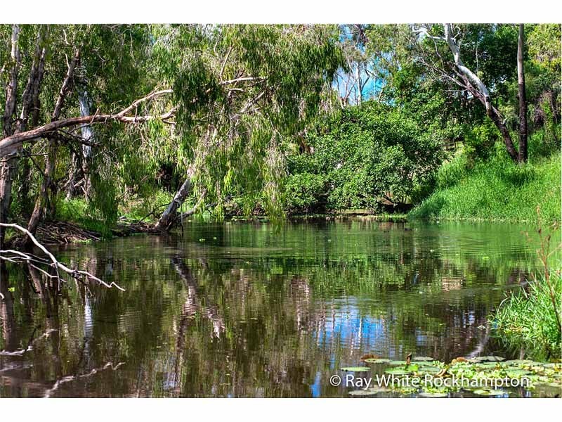 52 Hamilton Avenue, Wandal QLD 4700