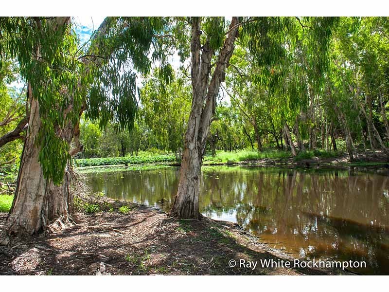 52 Hamilton Avenue, Wandal QLD 4700