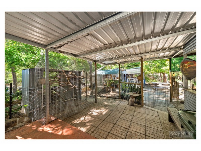 251 Boyd Street, Frenchville QLD 4701