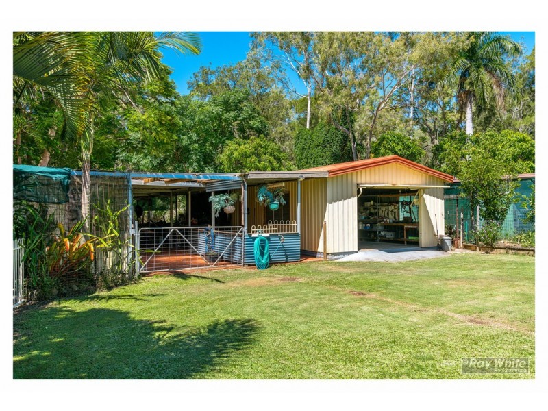 251 Boyd Street, Frenchville QLD 4701