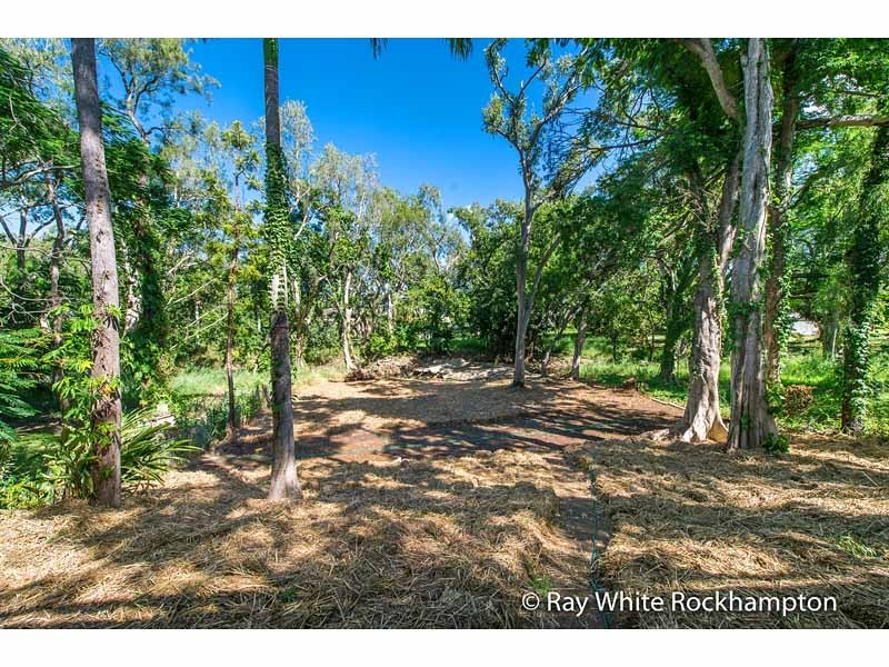 325 Mills Avenue, Frenchville QLD 4701