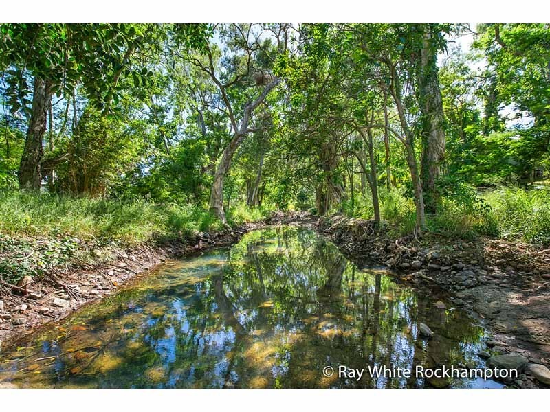 325 Mills Avenue, Frenchville QLD 4701