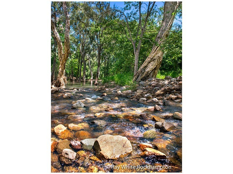 9 Blue Gum Terrace, Frenchville QLD 4701