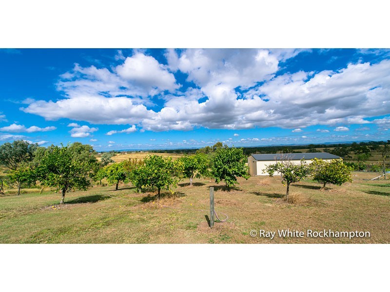 13 Trenwith Terrace, Rockyview QLD 4701