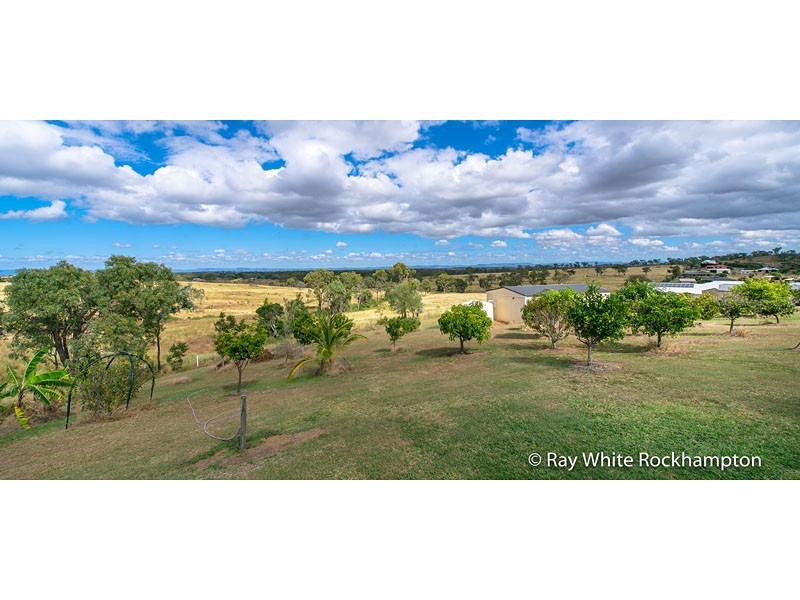 13 Trenwith Terrace, Rockyview QLD 4701