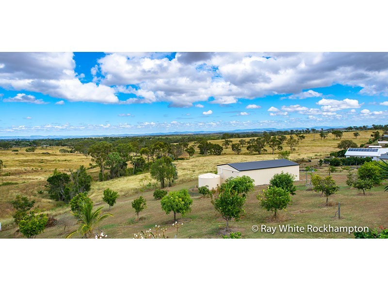 13 Trenwith Terrace, Rockyview QLD 4701