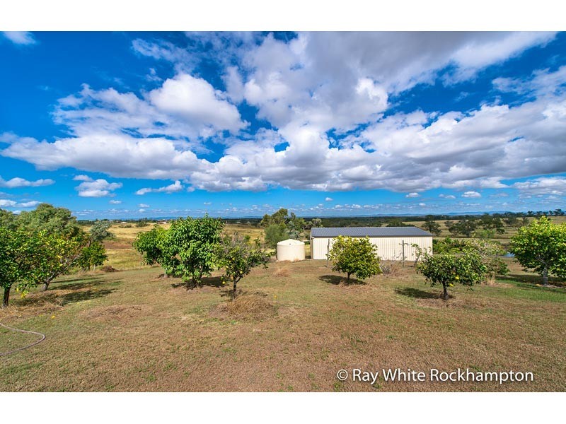 13 Trenwith Terrace, Rockyview QLD 4701
