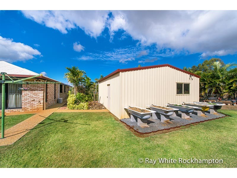 9 Jewell Court, Parkhurst QLD 4702