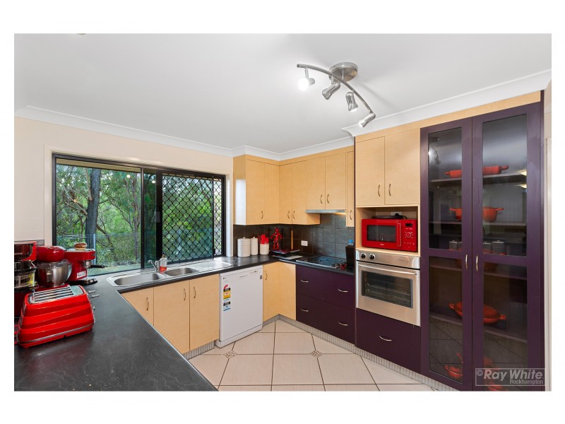 9 Neill Street, Frenchville QLD 4701