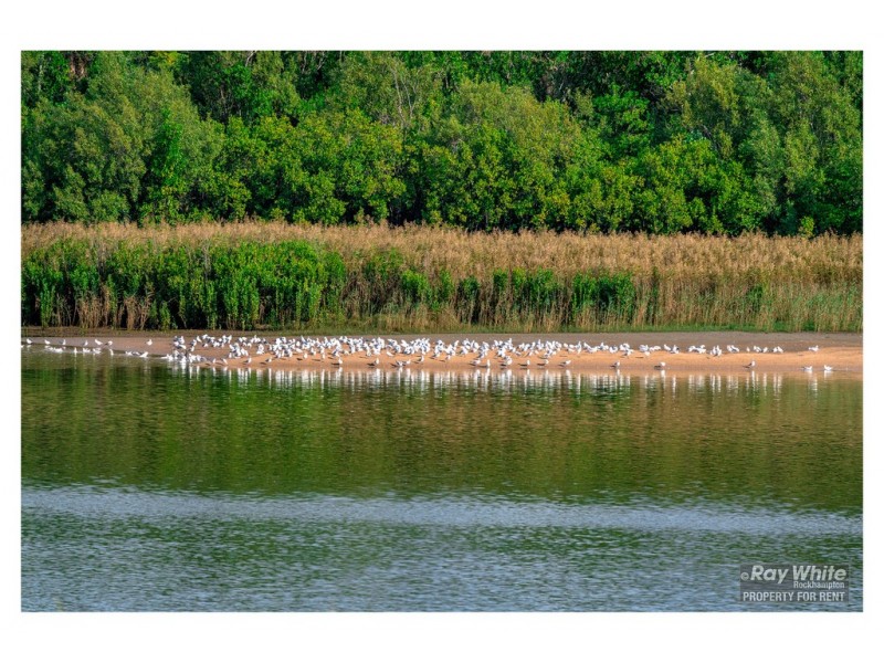 1/352 Lakes Creek Road, Koongal QLD 4701