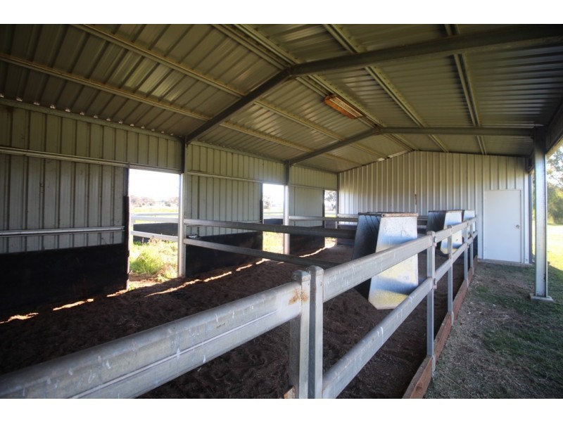 9739 Oxley Highway, Gunnedah NSW 2380