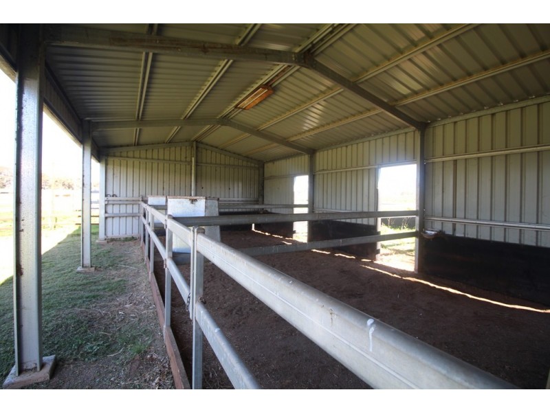 9739 Oxley Highway, Gunnedah NSW 2380