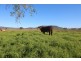 9739 Oxley Highway, Gunnedah NSW 2380