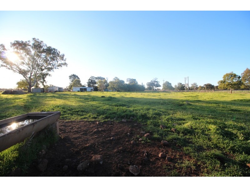 9739 Oxley Highway, Gunnedah NSW 2380