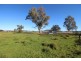 9739 Oxley Highway, Gunnedah NSW 2380