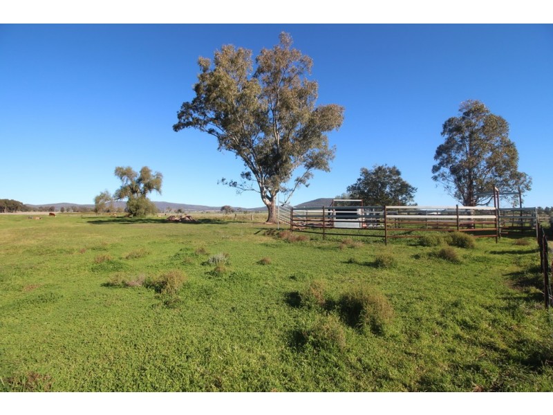 9739 Oxley Highway, Gunnedah NSW 2380
