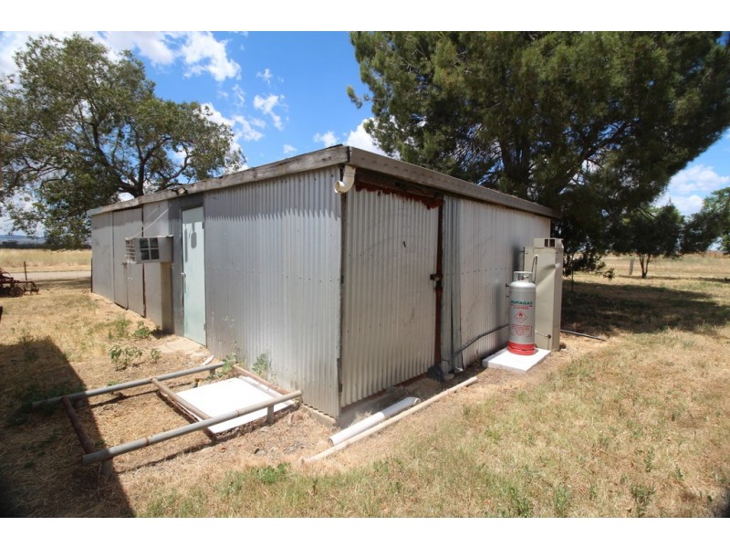 1-5 Phillip Street, Carroll NSW 2340