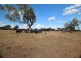 KIAMAH 367 Booloocooroo Road, Gunnedah NSW 2380